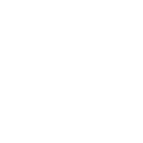 Business Licenses