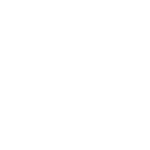 Business/Project Plans